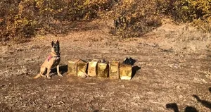 Bitlis’te 100 kilogram patlayıcı madde ele geçirdi