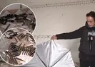 A Haber YPGnin bırakıp kaçtığı sözde karargahta
