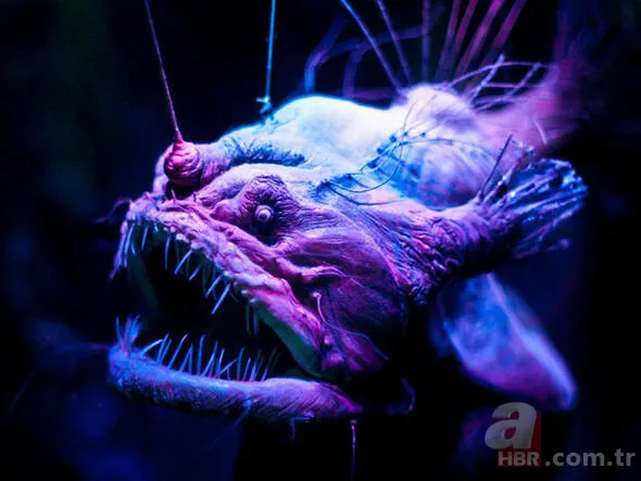 Hayat kurtaran teknolojik ipuçları! Kimse bu işe yaradığını bilmiyordu... 33