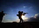 PKK’da çözülme sürüyor! MSB duyurdu