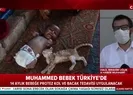Kolları ve ayakları olmayan İdlibli Muhammed Bebek Hatayda tedavi altına alındı | Video