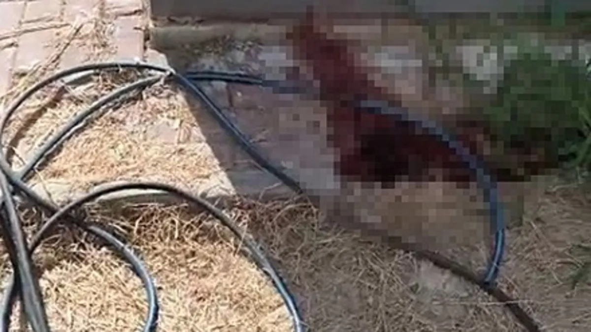 Anahtarını evde unutup dairesine hortumla inmeye çalışırken öldü