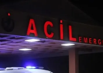 Şanlıurfa'da hafif ticari araç devrildi: Ölü ve yaralılar var