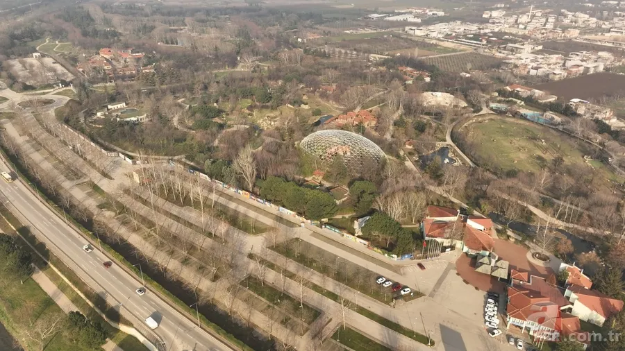 Aslanlar böyle yedi! Vahşi doğa belgeselleri aratmayan görüntüler Türkiye'den 8