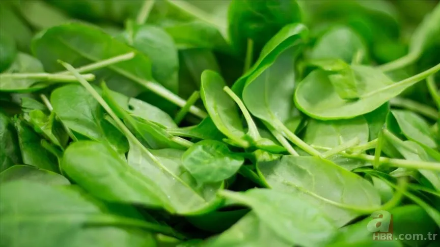 Anneler haklı çıktı! Tazesini bırakın: Uzmanlara göre buzlukta olması gereken altı sebze 3