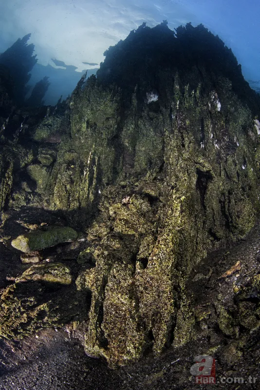 Mehmetçik Van Gölü'nde yaşayan ikinci balık türünü buldu 1
