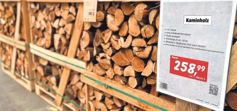 Almanya’da kriz büyüyor! Odun altından değerli oldu