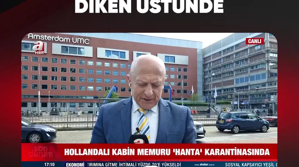 HOLLANDA DİKEN ÜSTÜNDE