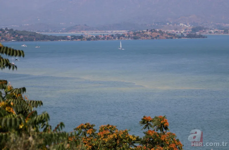 Fethiye Körfezi'nde alarm! Sarı ve yeşile büründü 9
