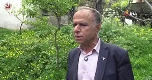 Arıcılardan sahte bal uyarısı