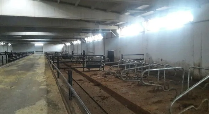 Diyarbakır'da bir Çiftlik Bank vakası daha! 20 milyon toplayıp kayıplara karıştılar - 1