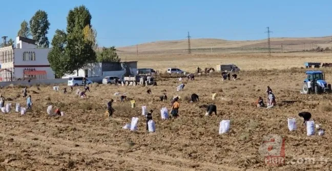 "Ücretsiz"i duyan torbasıyla koştu! Adeta akın ettiler 1