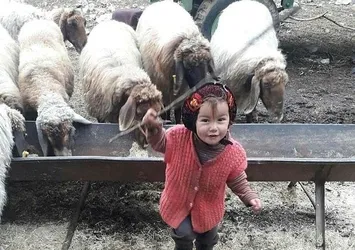 Müge Anlı'da günlerce işlenmişti! Müslüme Yağal olayıyla ilgili flaş gelişme! Tutuklu bulunan dede...