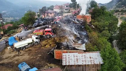 Bolu’daki yangında zarar büyük! 2 ev 10 samanlık küle döndü! Çok sayıda hayvan can verdi