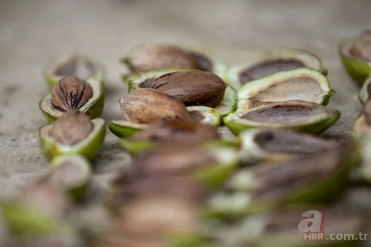 Öyle bir iş kurdu ki paraya para demiyor! Bu iş için mühendisliği bıraktı! Çok basit... 3