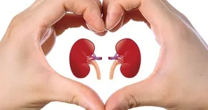 Böbrekleri korumak için...