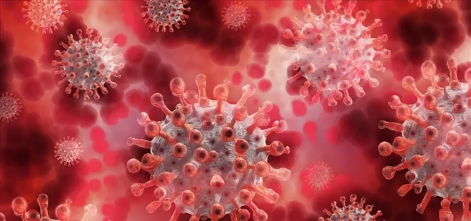 Koronavirüs sonrası yeni tehlike! DSÖ’den acil toplantı! Maymun çiçeği hastalığı yayılıyor | Belirtileri neler?