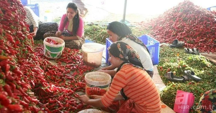 Mevsimlik işçiler kıdem tazminatı alabilir mi? Kıdem tazminatı nasıl hesaplanır? 21