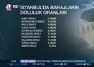 Yağışlar can suyu oldu