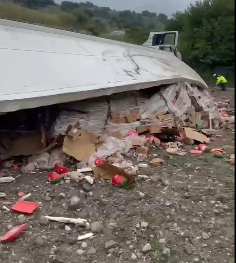 Amasya'da tavuk eti yüklü TIR şarampole devrildi - 1