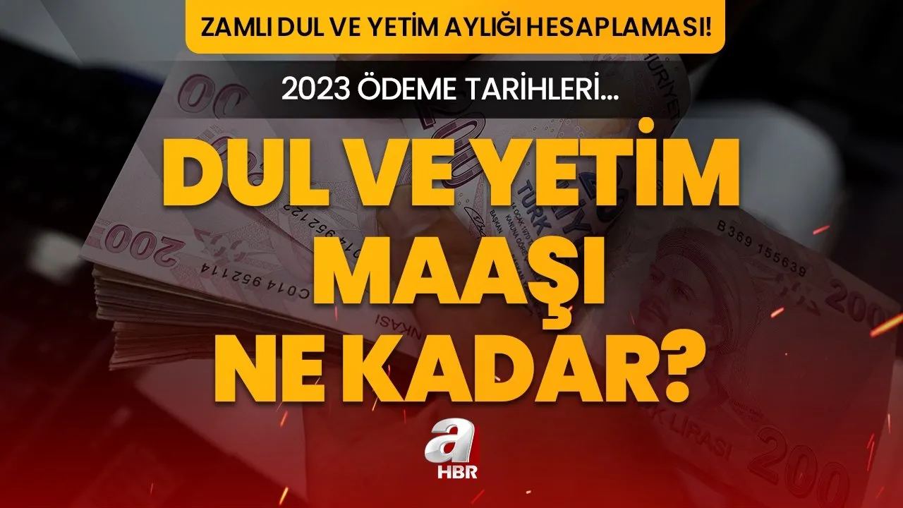 zavallı çoçuk kitabı konusu güllü kavga