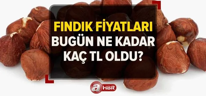 18 Mart 2023 fındık fiyatları bugün ne kadar, kaç TL oldu? Güncel fiyat listesi! Giresun, Ordu, Düzce...