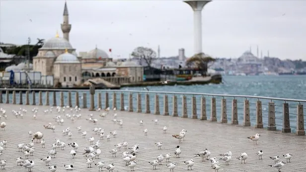 Bayramda mezarlıklar ziyarete açık mı, serbest mi? Ramazan Bayramı'nın birinci günü kabir ziyareti yasak mı? - 6