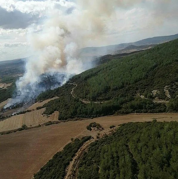 Çanakkale'de ormanlara giriş yasaklandı - 1