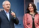 CHPden HDP hizmeti! CHPli Gülümser Heper bebek katili Abdullah Öcalandan Sayın diyerek bahsetti!