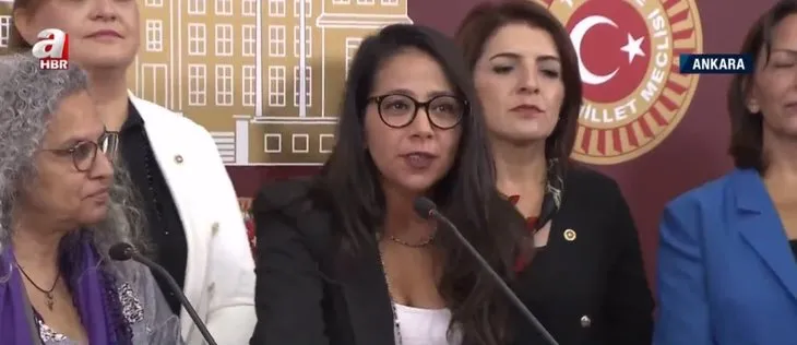 Meclis’te LGBT ittifakı! CHP’li bazı milletvekilleri rahatsız... A Haber’de anlattı: Bu ısrar tabanda kopmaları beraberinde getirir