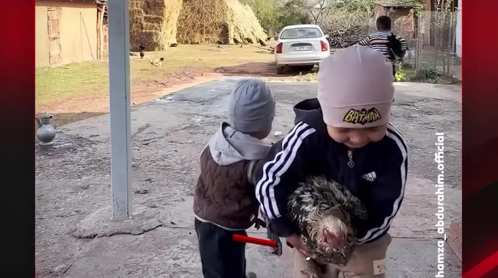 KAZANAN TAVUĞUNU DOYURDU