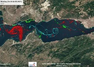Türkiye'de bir ilk: İşte Marmara Denizi'ndeki müsilajın yoğunluk haritası! Tablo çok vahim