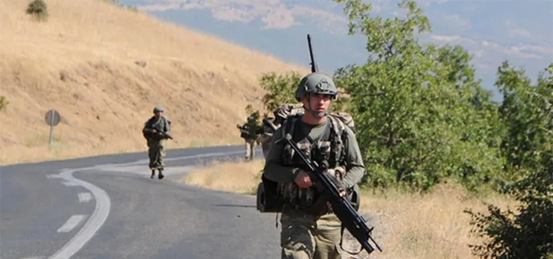 Tunceli'de terör operasyonu