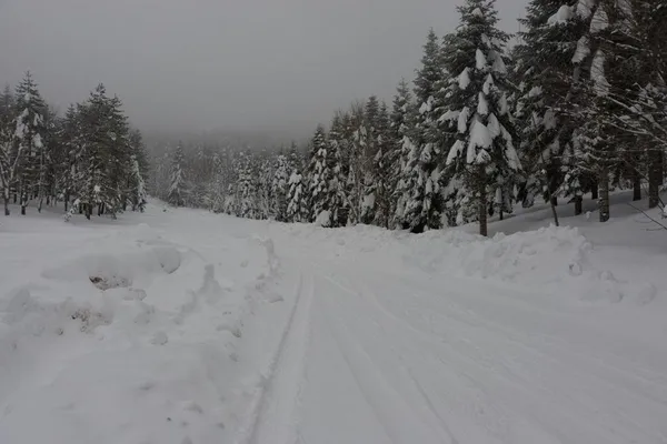 meteorolojiden-7-ile-flas-uyari-hava-sicakliklari-8-15-derece-birden-azalacak-5-gunluk-hava-durumu-1613423753869.jpg Meteoroloji'den 7 ile flaş uyarı! Hava sıcaklıkları 8-15 derece birden azalacak! 5 günlük hava durumu - 1