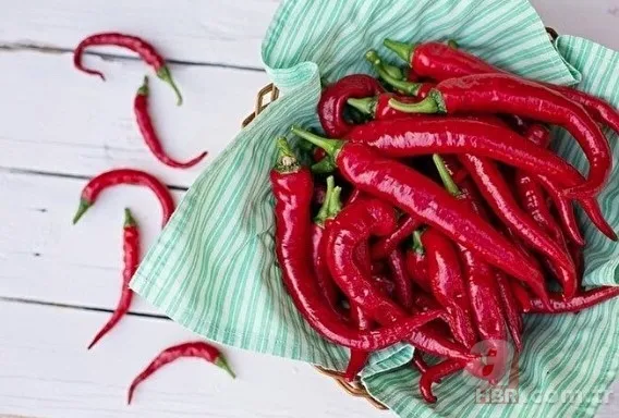 Kilo vermek isteyenler dikkat! Bu besinler metabolizmayı hızlandırıyor! İşte kilo verdiren yiyecekler 15