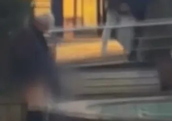 Bartın'da şoke eden anlar! Süs havuzuna tuvaletini yaptı