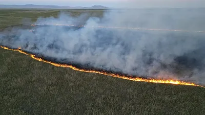 Eber Gölü’nde yangın: 9 dönüm alan zarar gördü