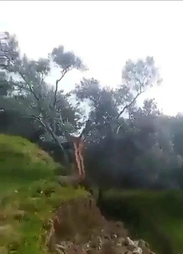 fayin-yikici-etkisi-dehsete-dusurdu-ikiye-boldugu-agaci-10-metre-uzaga-tasidi-1678082171407.jpg Fayın yıkıcı etkisi dehşete düşürdü! İkiye böldüğü ağacı 10 metre uzağa taşıdı - 1
