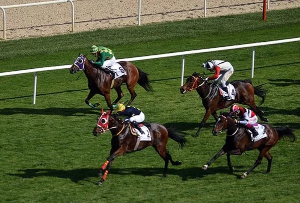 At yarışları iptal mi? 25 Aralık Adana İstanbul at yarışları neden başlamadı?