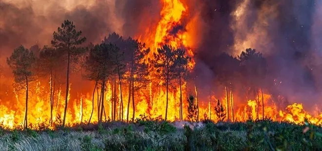 Avrupa’da orman yangınlarının izi uzaydan görüntülendi