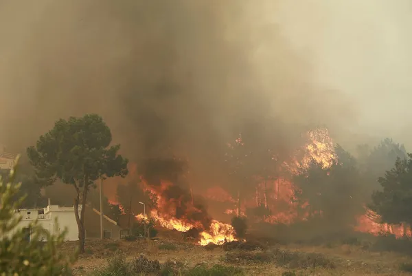 Yangın Muğla Milas’taki Kemerköy Termik Santrali’ne yaklaştı! A Haber ekibi olay yerinde