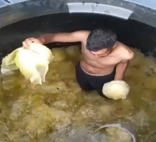 Son dakika: Turşu fabrikasında skandal görüntüler! Bakanlık harekete geçti: Suç duyurusunda bulunuldu