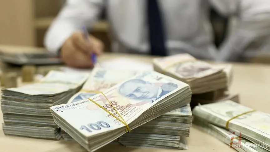 Mevduat faizlerinde bankalar yeni rakamları duyurdu: 500.000 TL'nin 1 aylık getirisi ne kadar? 2