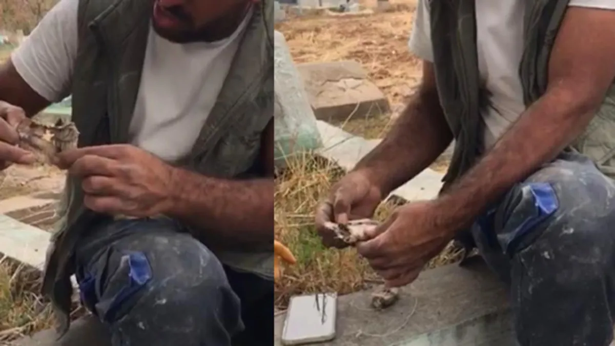 Mezarlıkta kan donduran manzara! Kefenli oyuncak bebek çıktı