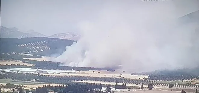 Son dakika | İzmir Foça’da korkutan orman yangını! Ekipler bölgede! Havadan karadan müdahaleyle kontrol altına alındı