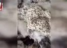 İşkembeler kurtlar içinde yüzüyor!