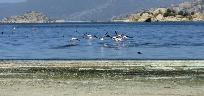 TBMM Bafa Gölü için harekete geçti! Kurtarılacak