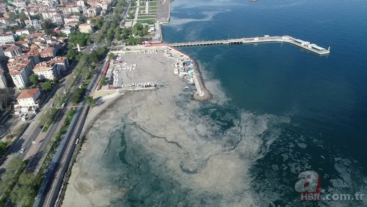 Marmara Denizi’nin güney kıyılarındaki araştırma tamamlandı! Tek sorun müsilaj değil!