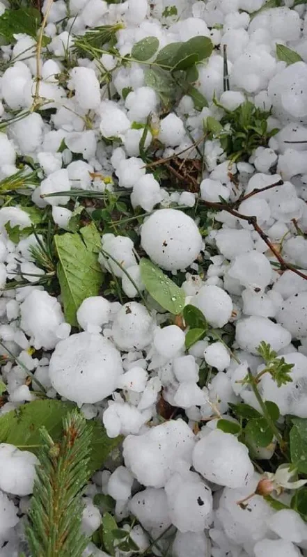 Ordu’da ceviz büyüklüğünde dolu yağdı
