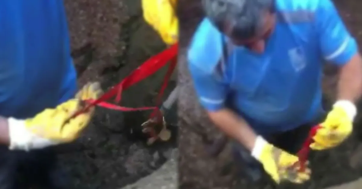 Tuvalette düşürülen 10 çeyrek altın kanalizasyonda bulundu